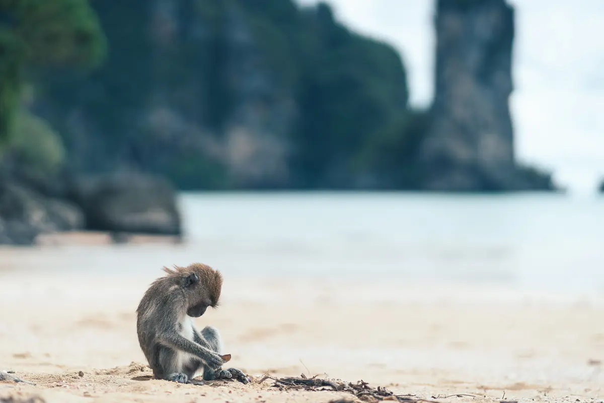 Андаманский рассвет — острова Пхи-Пхи, Краби, Джеймса Бонда с ночевкой на Пхи-Пхи