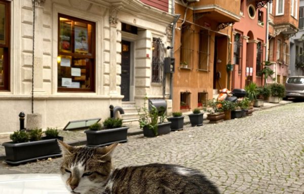 Стамбул пешком — с двух сторон Босфора